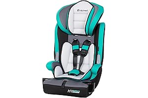 Britax Pioneer Combination Harness-2-Booster Car Seat