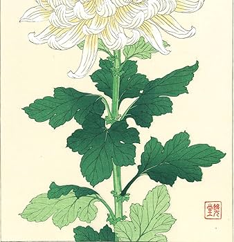 YT1974 木版画 河原崎奨堂【レンギョウ】他5作品　真作保証 YT1974 木版画 河原崎奨堂【レンギョウ】他5作品 真作保証