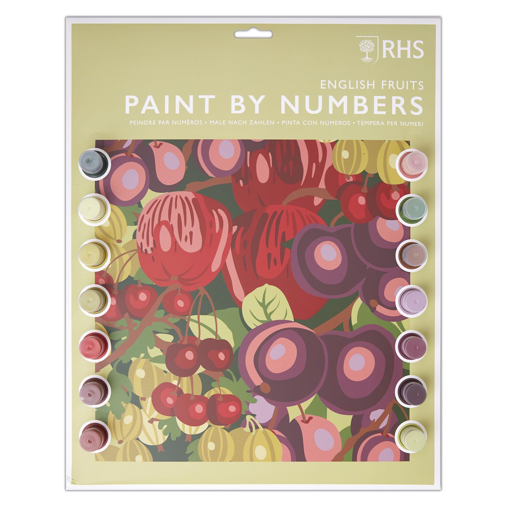 RHS The Royal Horticultural Society Paint by Numbers A3 with 14 Paints & 3 Brushes, English Fruits Design, Multicoloured, Learn to Paint for Adults, Painting Craft