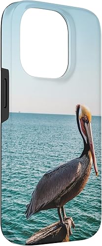 Vista 42 de iPhone 11 Pelican Case