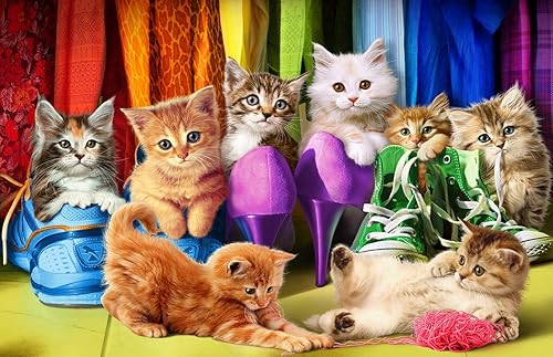 Miniatura 2 de Orgullo del gatito