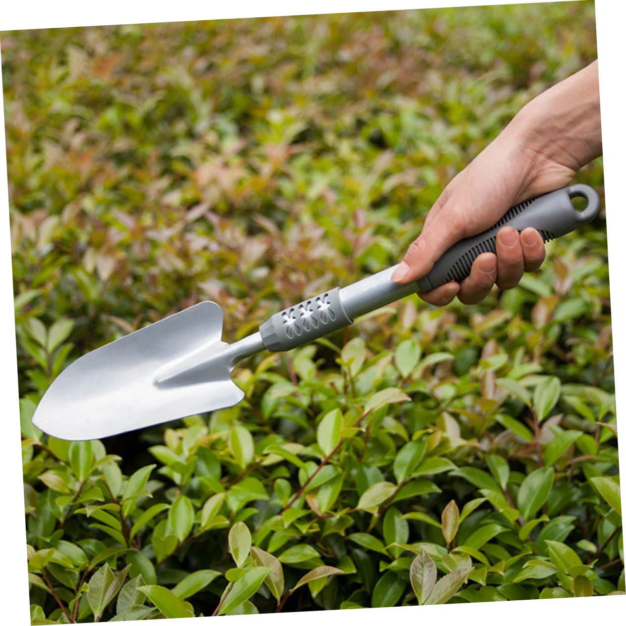 Kit D’Outils de Jardinage Intérieur, Pelle à Planter Les Plantes Succulentes 3 Pièces en Acier et PVC, Forte et Tranchante pour Désherbage et Transplantation