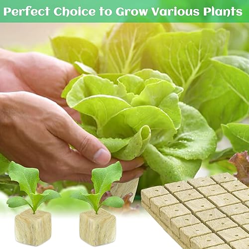 Vista 6 de Legigo Cubos de lana de roca de 2 pulgadas para iniciadores de semillas hidropónicas, cubos de plantación de lana de roca, tapones hidropónicos de 2