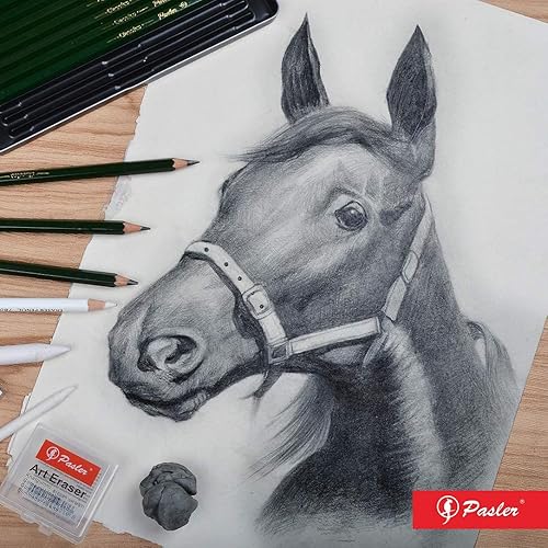Miniatura 5 de Pasler Lápices de dibujo profesionales con dibujo gráfico 12 unidades 8B