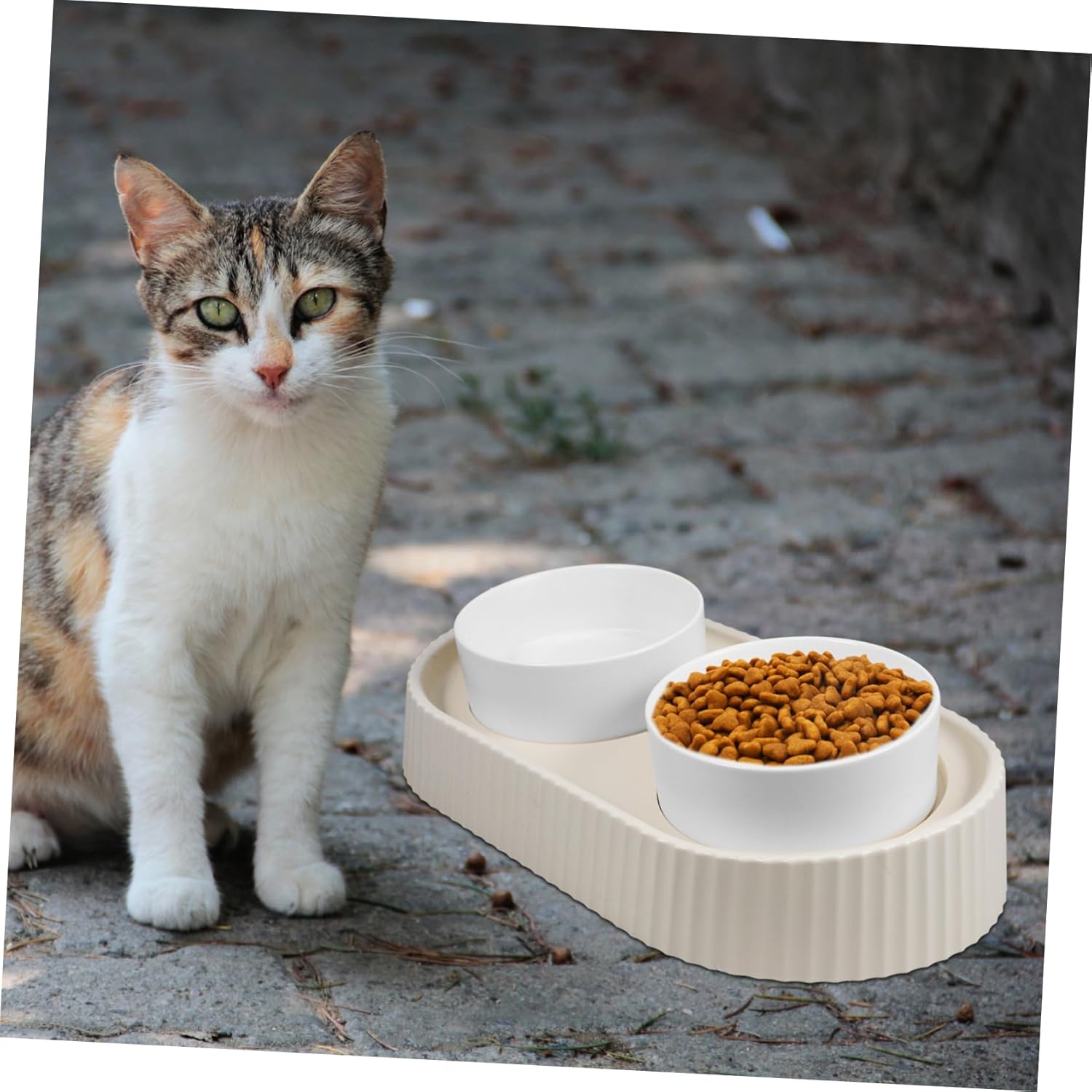 1Set Elevated Cat Bowl Comfortable Feeding Wide Design Material for Stability Prevents Spills for Cats Dogs