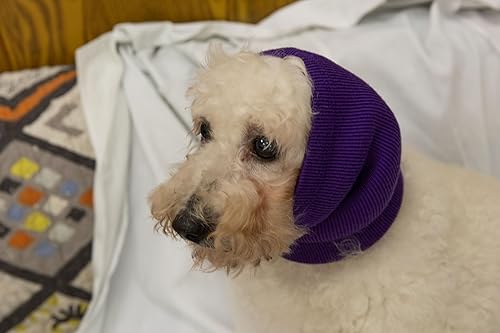 Miniatura 5 de DDFS Orejeras medianas de aseo para perros, protección de ruido, orejeras con cancelación de ruido, protectores de oídos para perros, sin solapa,