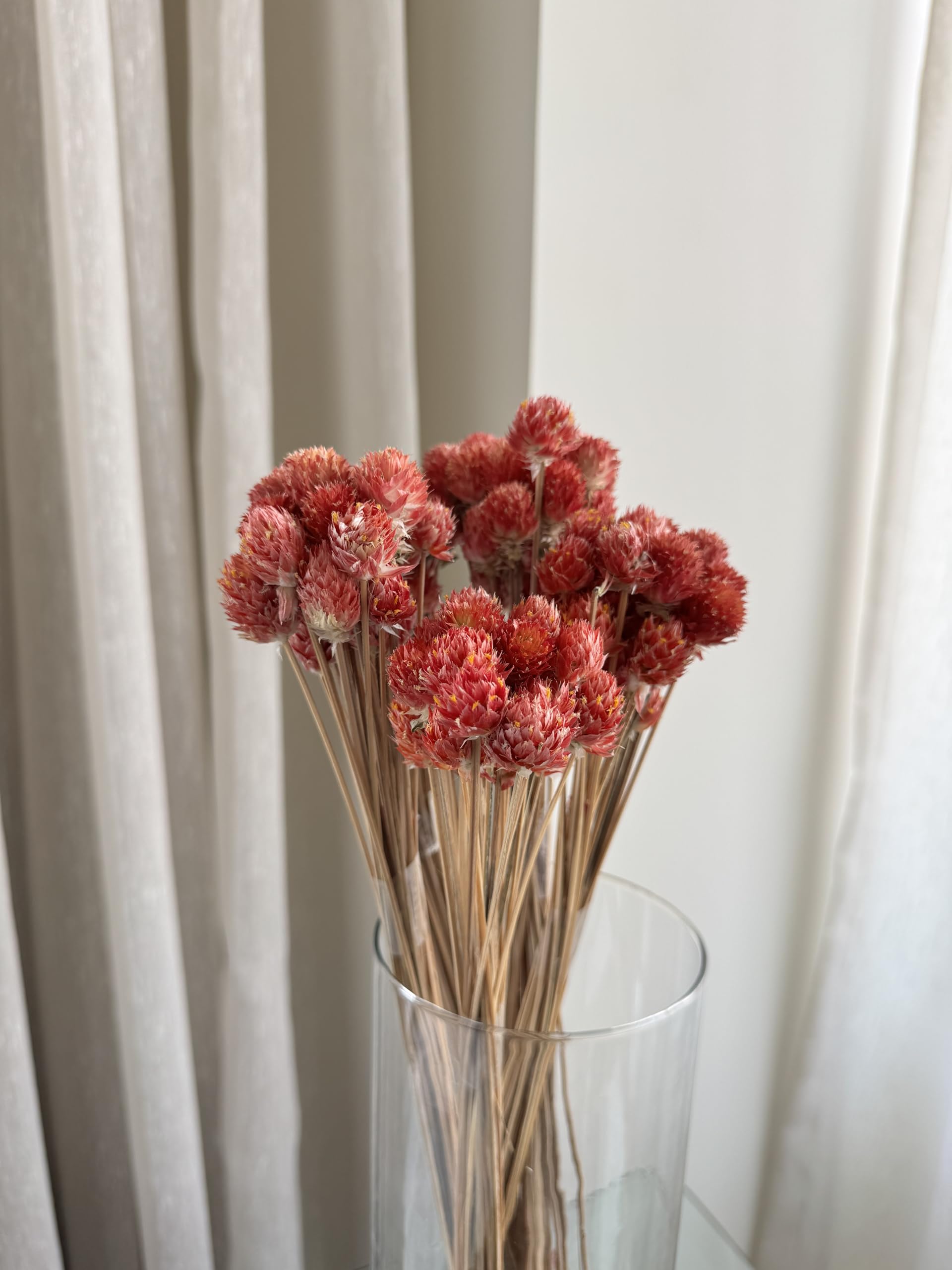 IDIKA Living Gomphrena Globe Amarnath globosa Dried Flower| Set of 100 Sticks| Natural Dried Flowers for Home Decor, Wedding, and DIY Crafts(Orange)-image-18