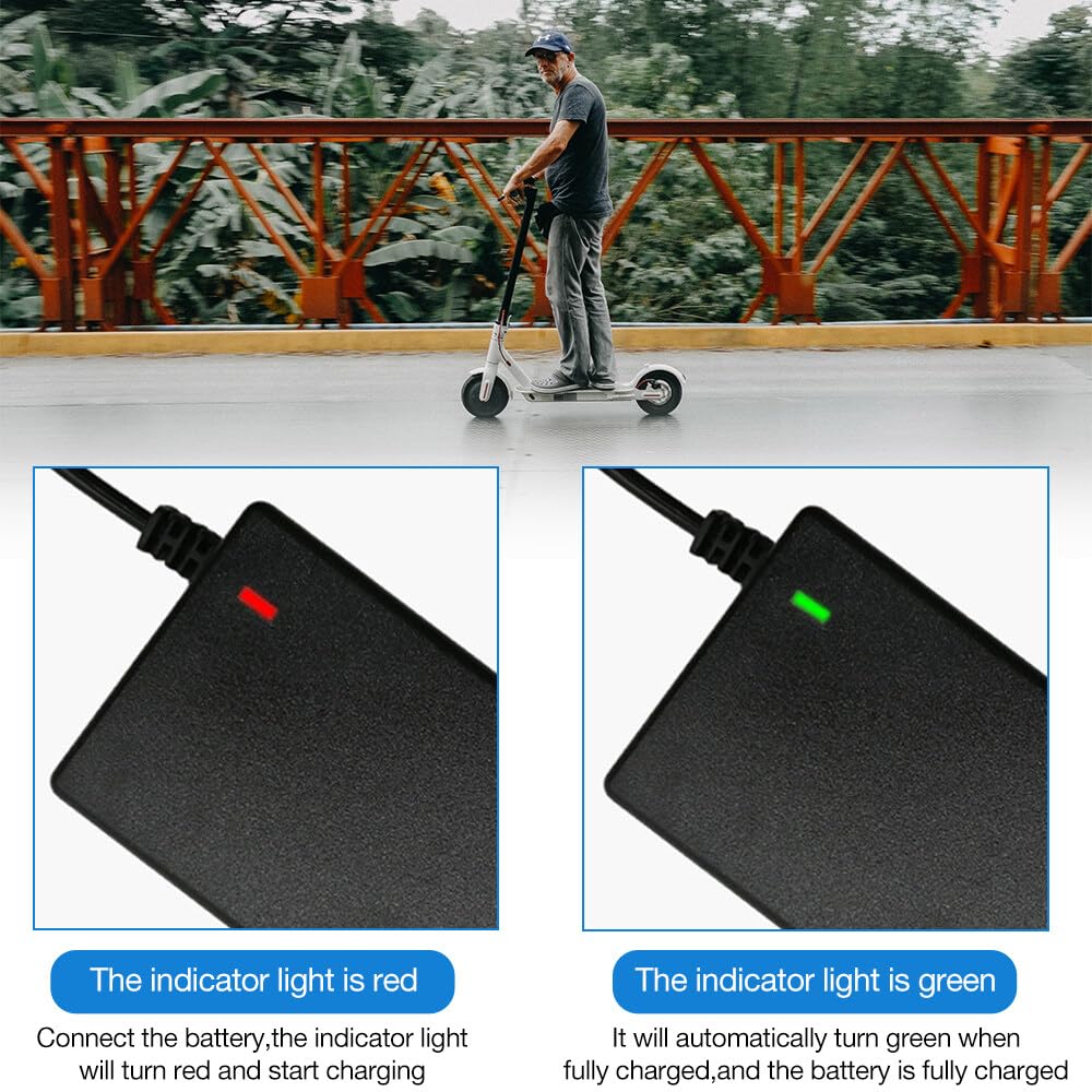 Caricatore Monopattino Elettrico, 42V 2A Caricabatteria per Scooter Elettrico con 6 Connettori per Xiaomi Scooter,36V Hoverboard,Bici Equilibrata,Drifting Board