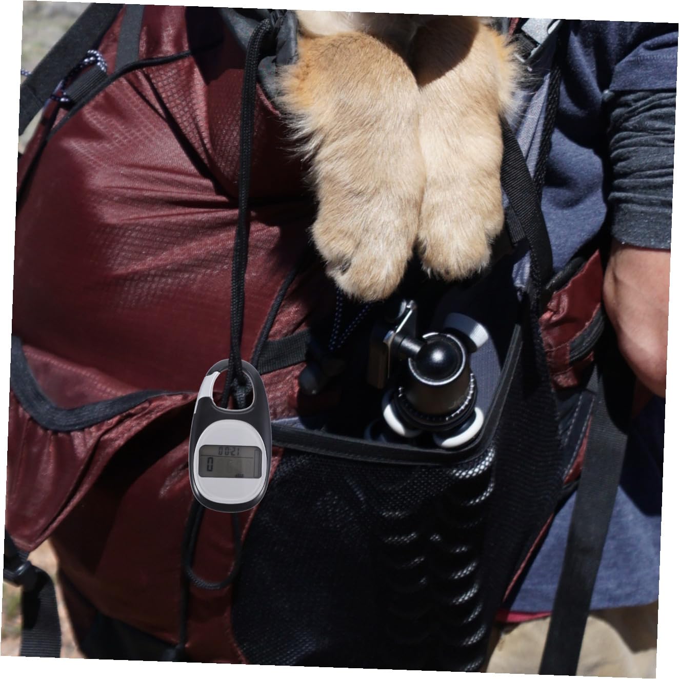 2pièces Compteur De Professionnel Podomètre Et Pratique pour Activités Extérieures Calories Distance Accessoire De Fitness pour Randonnée Et Voyage