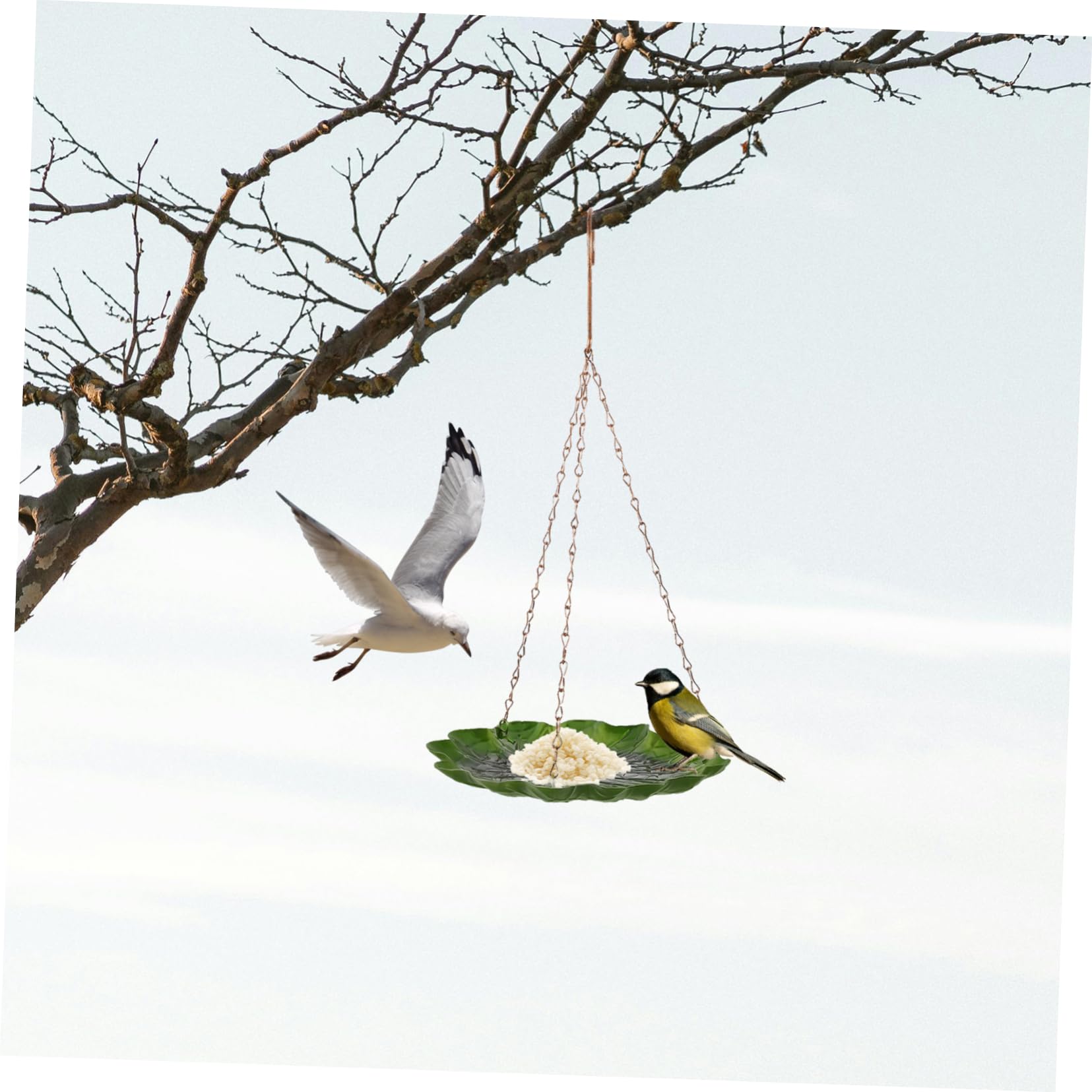 HANABASS 4pezzi Mangiatoia Per Uccelli Da Giardino Battuto Design Elegante e Resistente Alimentatore Appeso Per Esterni Decorazione Per Patio e Giardino Foglia