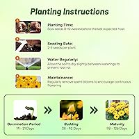 Vista 53 de Outsidepride Bicolor Mix Gerbera Seeds - 10 Pcs Perennial, Compact & Low Maintenance, Flower Seeds for Planting w/Vibrant Mixed Blooms, Ideal for