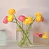 Product Photo 8
