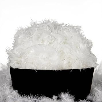 MOOX Down Feathers Pillow Stuffing Filling for DIY Projects Premium Natural 5/95 Goose Feather Down Soft Fluffy Perfect for Pillow Cushions Bedding Pillow Couch Dog Bed Upholstery Crafts 1.0, Pounds