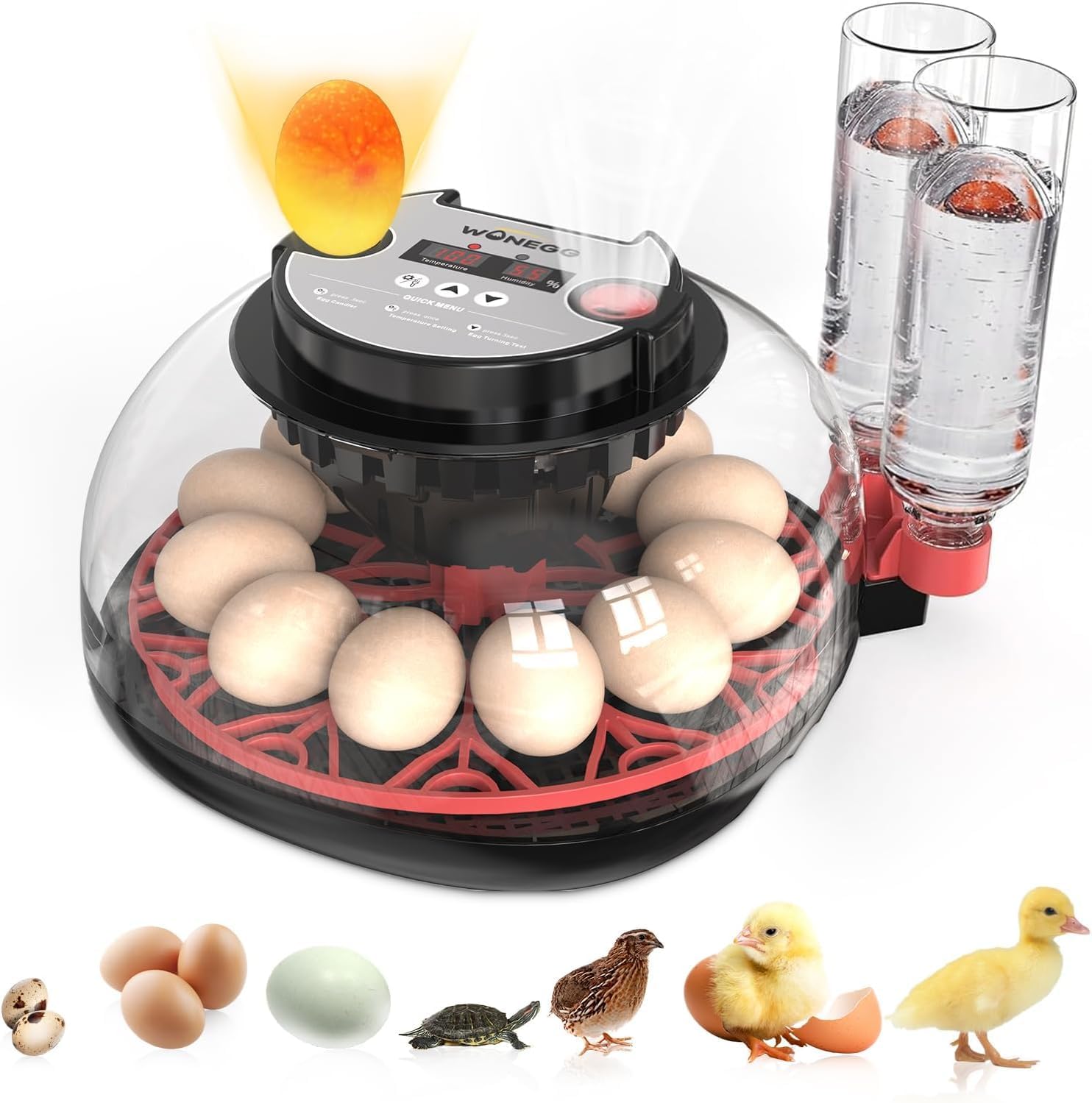 Incubadora para eclosión de huevos, volteadora automática de huevos y nuevo sistema de control automático de humedad, visión clara de 360° para pollo, pato y codorniz (negro)