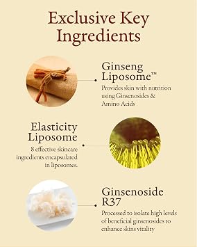 SOORYEHAN Micro Ginseng Core Lift Cream Special gift Set (2.4 fl oz) - Enhances Skin Firmness, Elasticity, and Hydration. with Ginsenoside R3TM for a Youthful, Healthy Complexion.