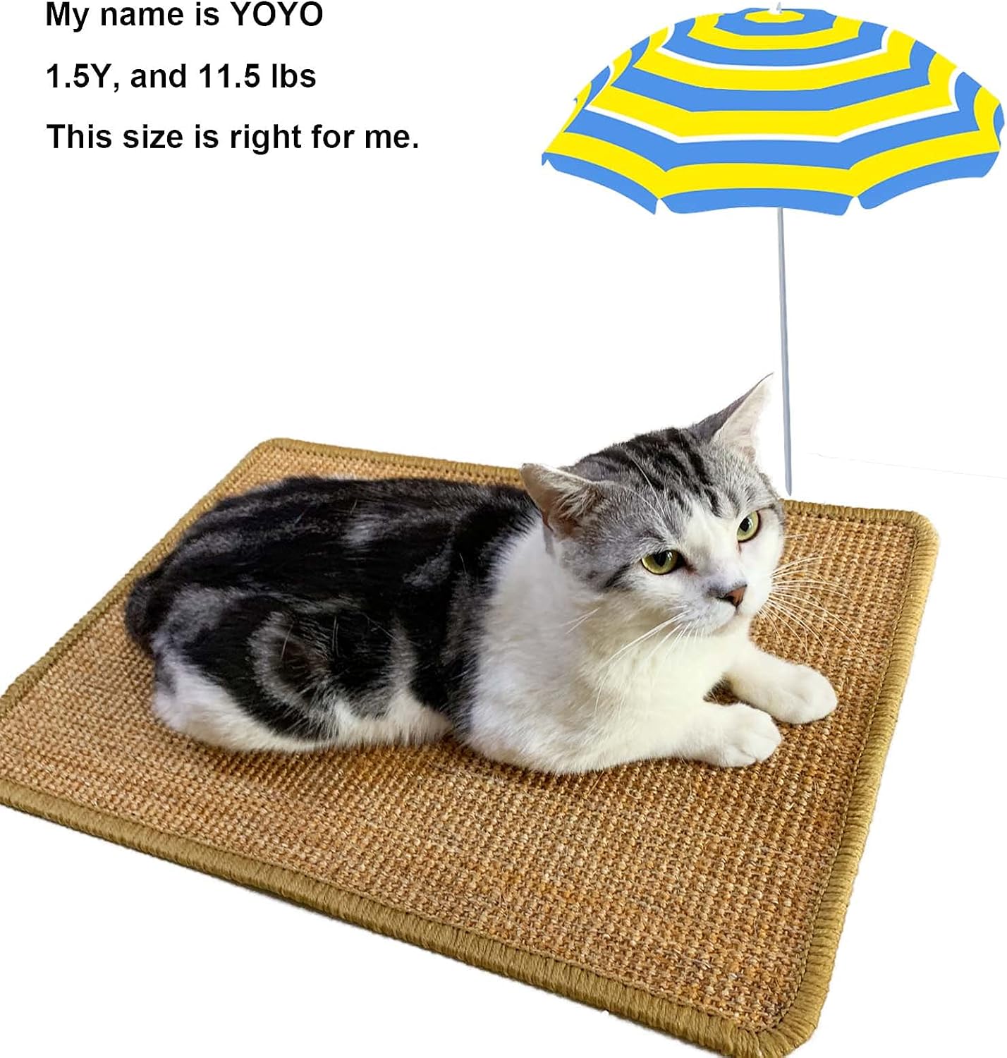 review PPHAO - Cat Scratcher for Large Cats - Scratching Pads for Indoor Cats - Stop Cat Scratching Furniture - Sisal Cat Scratcher Mat