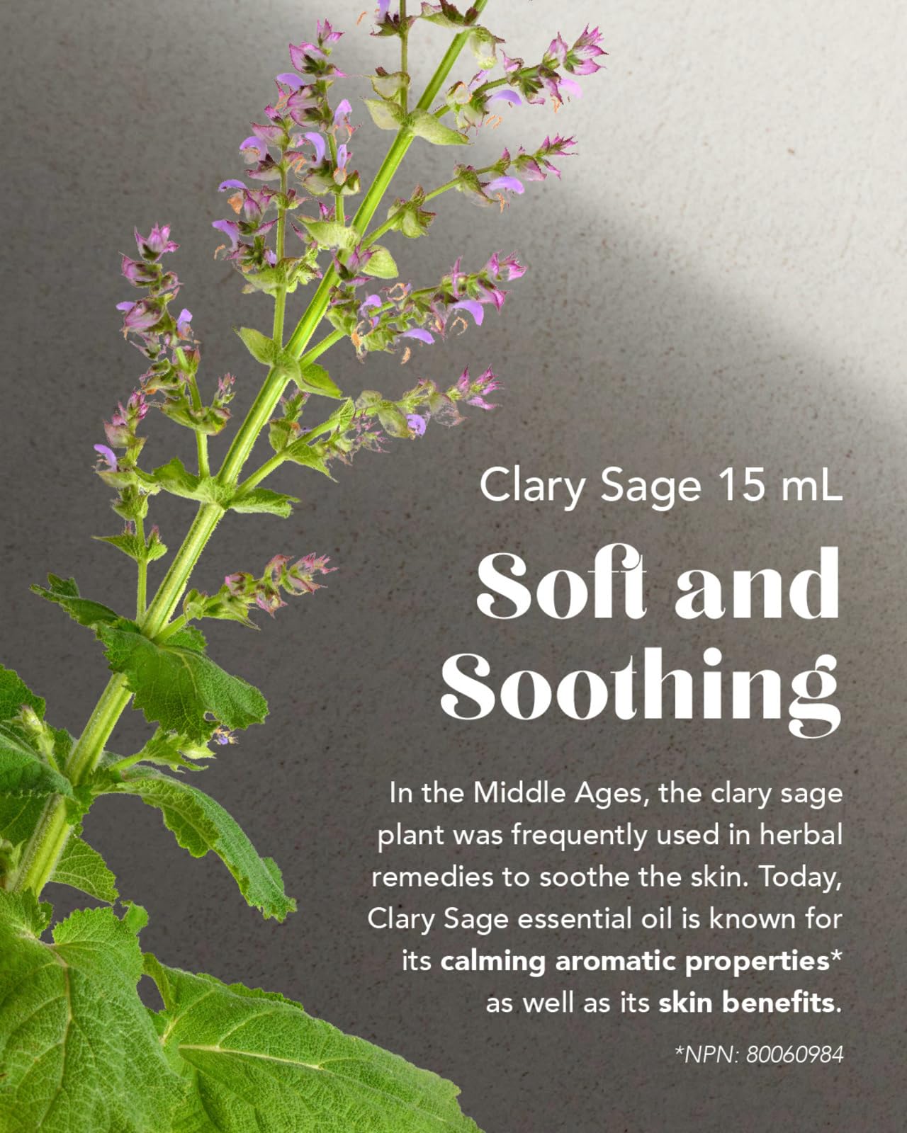 Amazon.com: doTERRA Clary Sage Essential Oil - 15 ml : Health
