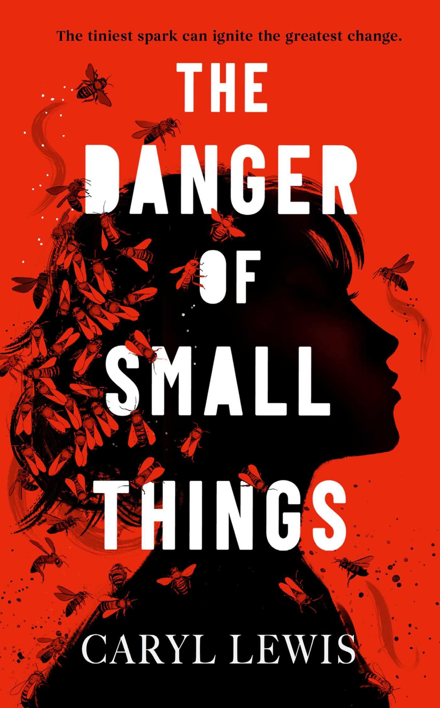 The Danger of Small Things by Caryl Lewis HARDBACK 9781398549272