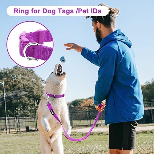 Miniatura 6 de azuza Paquete de 3 collares de perro cómodos y ajustables de nailon para perros pequeños, S (11-16 pulgadas), rosa, rosa intenso y morado