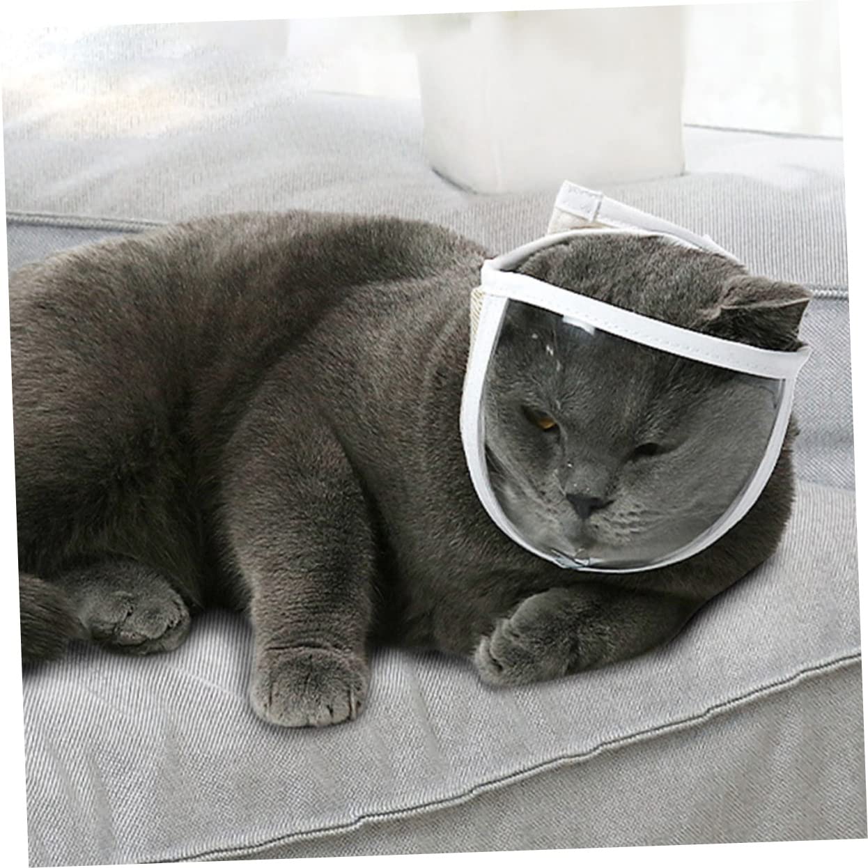 Toddmomy 6 Piezas Casco Protector para Gatos bozal de Malla de Gato Cubierta de Gato bozal portátil para Gatos bozal portátil para Gatitos cosmético Accesorios Venda Boca de Gato Novio