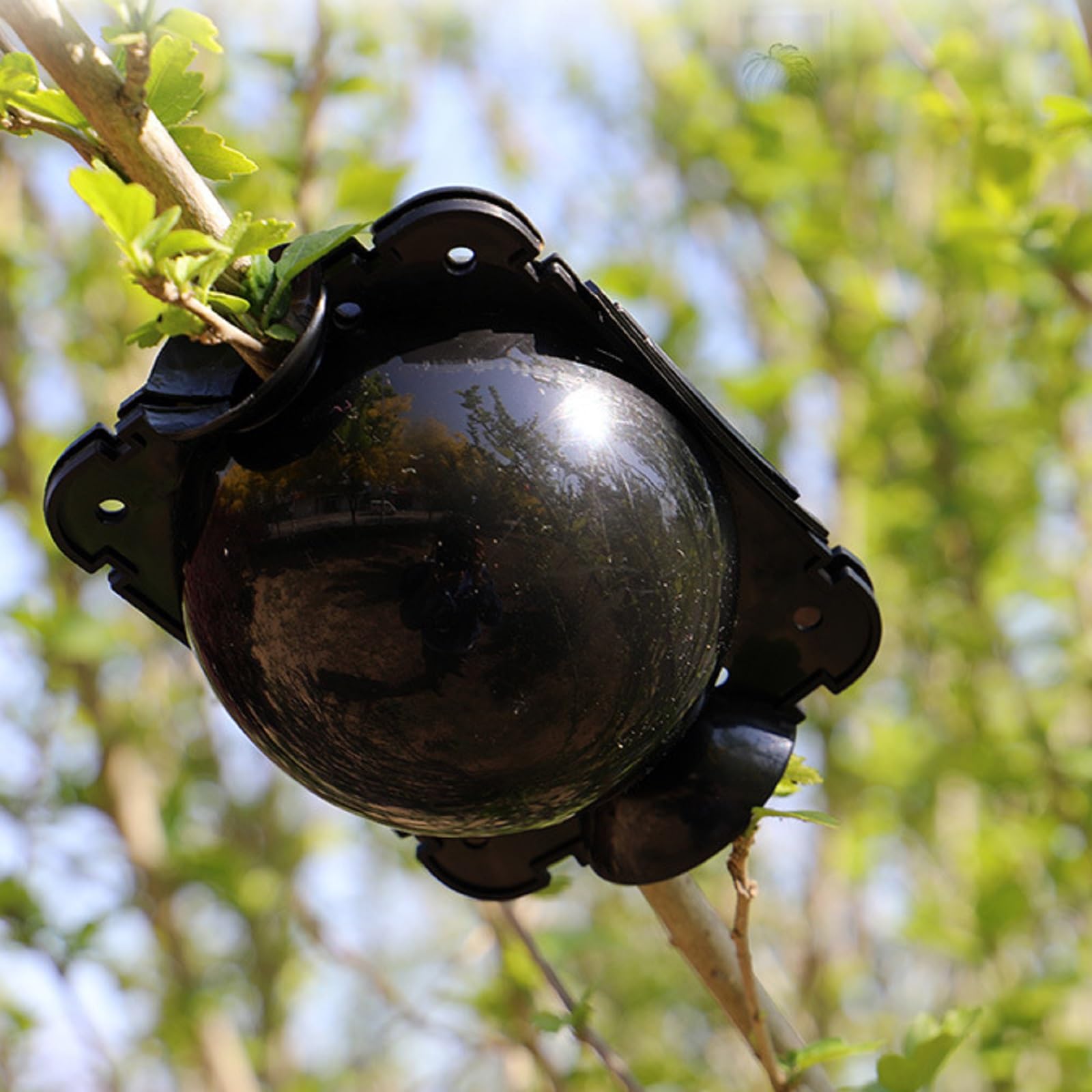 Propagatori Alta Pressione,Scatola Radicamento Piante Riutilizzabile,Dispositivo di Radicazione Delle Piante,Scatola Di Innesto Della Radice Pianta per Innesto e Radicamento da Giardino,10 Pezzi