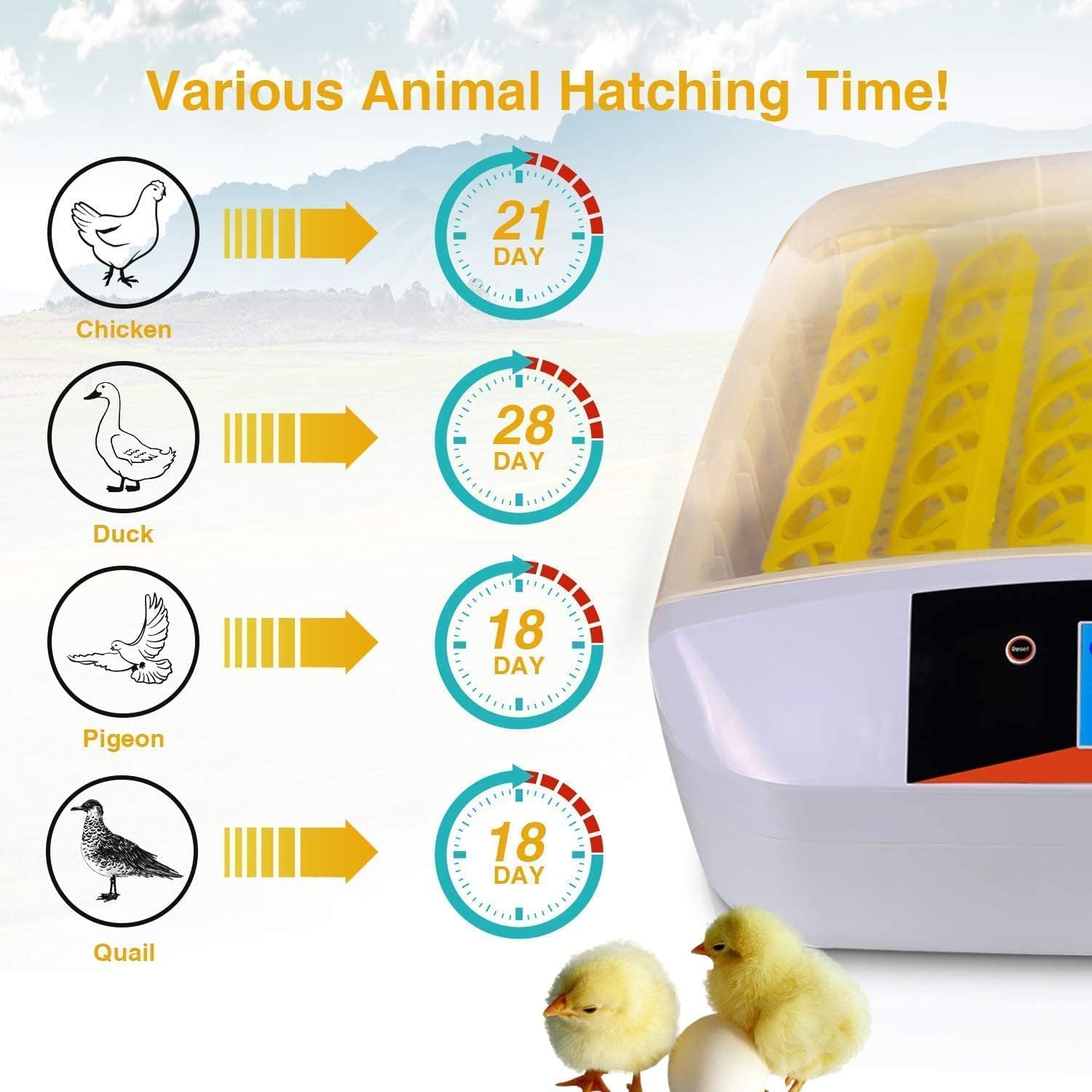Egg Incubator 56 Eggs Automatic Egg Hatcher Incubator Household Automatic Egg Incubator with Temperature Control for Chickens Ducks Birds.
