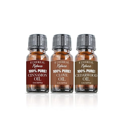 Ethereal Nature Aceite esencial puro de 0.2 fl oz, paquete de 3 - The Great Outdoors (canela clavo de olor y cedro)