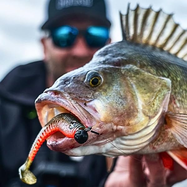 Monkey Lures King Lui - 7,5 cm, 10 cm, 12,5 cm, 14 cm - Big L Köder, Gummifisch, Angelköder, Softbait, Zanderköder, Kunstköder Angeln, Gummiköder - 3