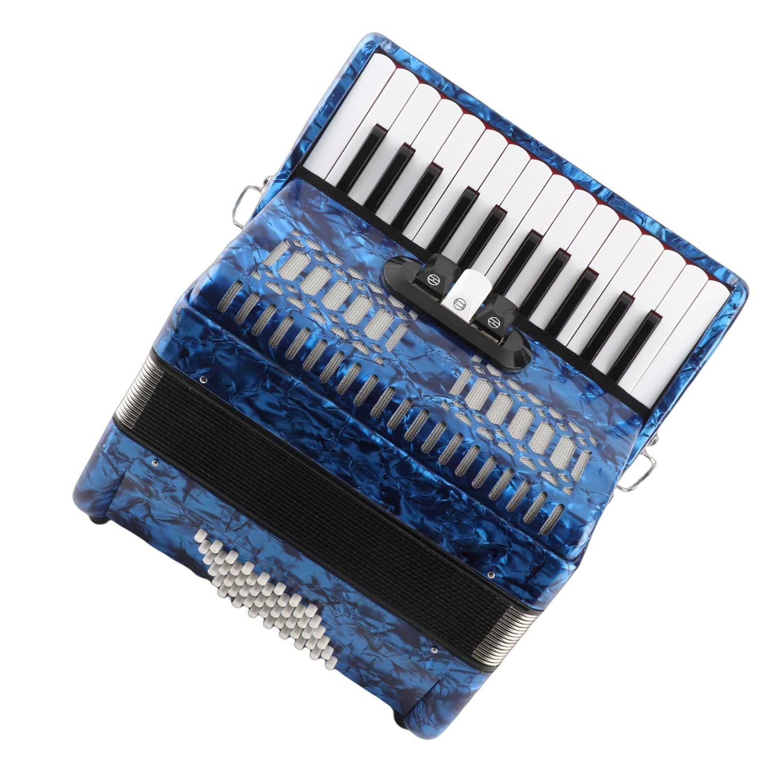Fisarmonica a Piano, 26 Tasti 48 Bassi con Ance Importate Soffietti Pelle Bovina Fisarmonica in Celluloide per Principianti Spettacoli Teatrali Eventi Musicali Live