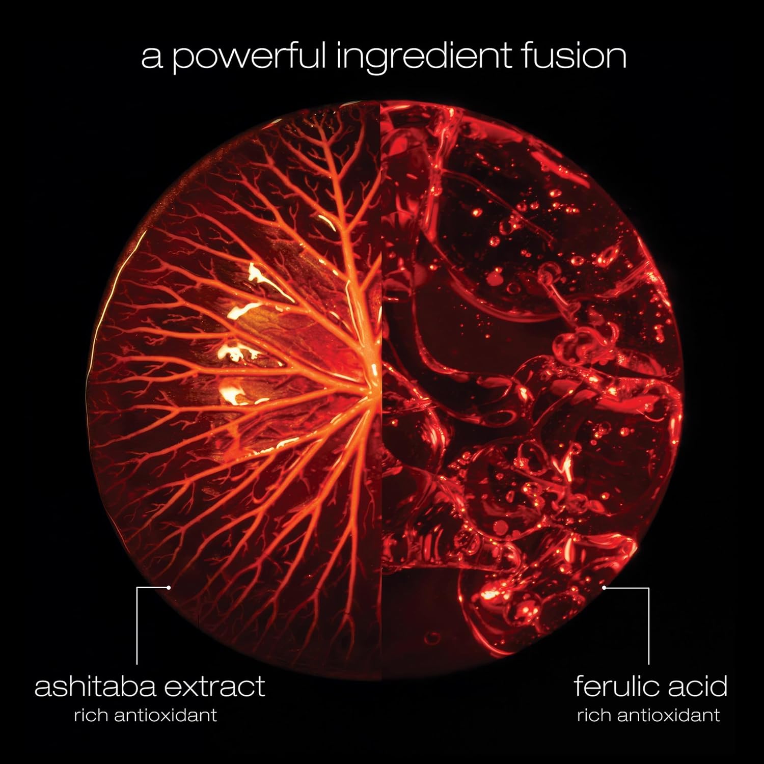 shu uemura art of hair Ashita Supreme Smoothing Treatment Mask - Adds Shine, Reduces Frizz, Strengthens Strands, Prevents Breakage, For All Hair Types, 6 Fl Oz - Image 8