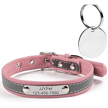 find the perfect dog