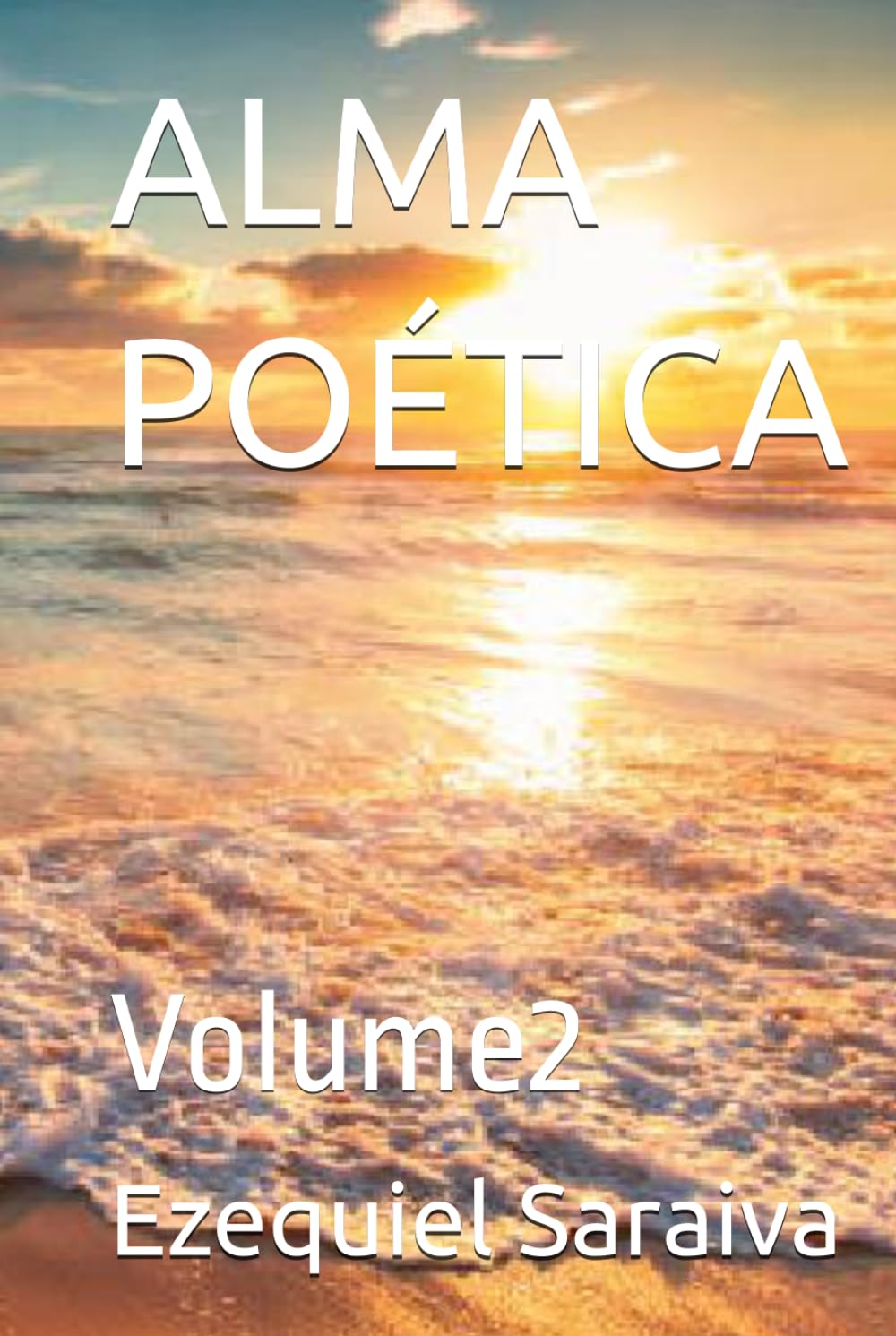 ALMA POÉTICA: Volume2