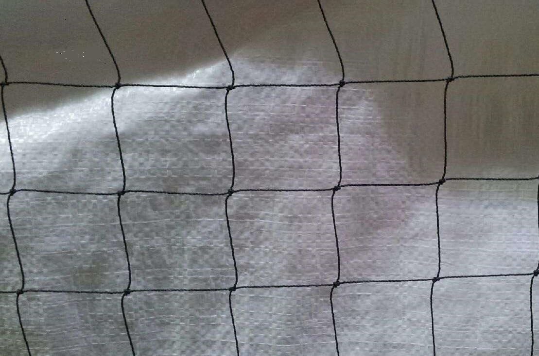 PIGEON NETTING 4m x 4m 2inch mesh 50mm BLACK