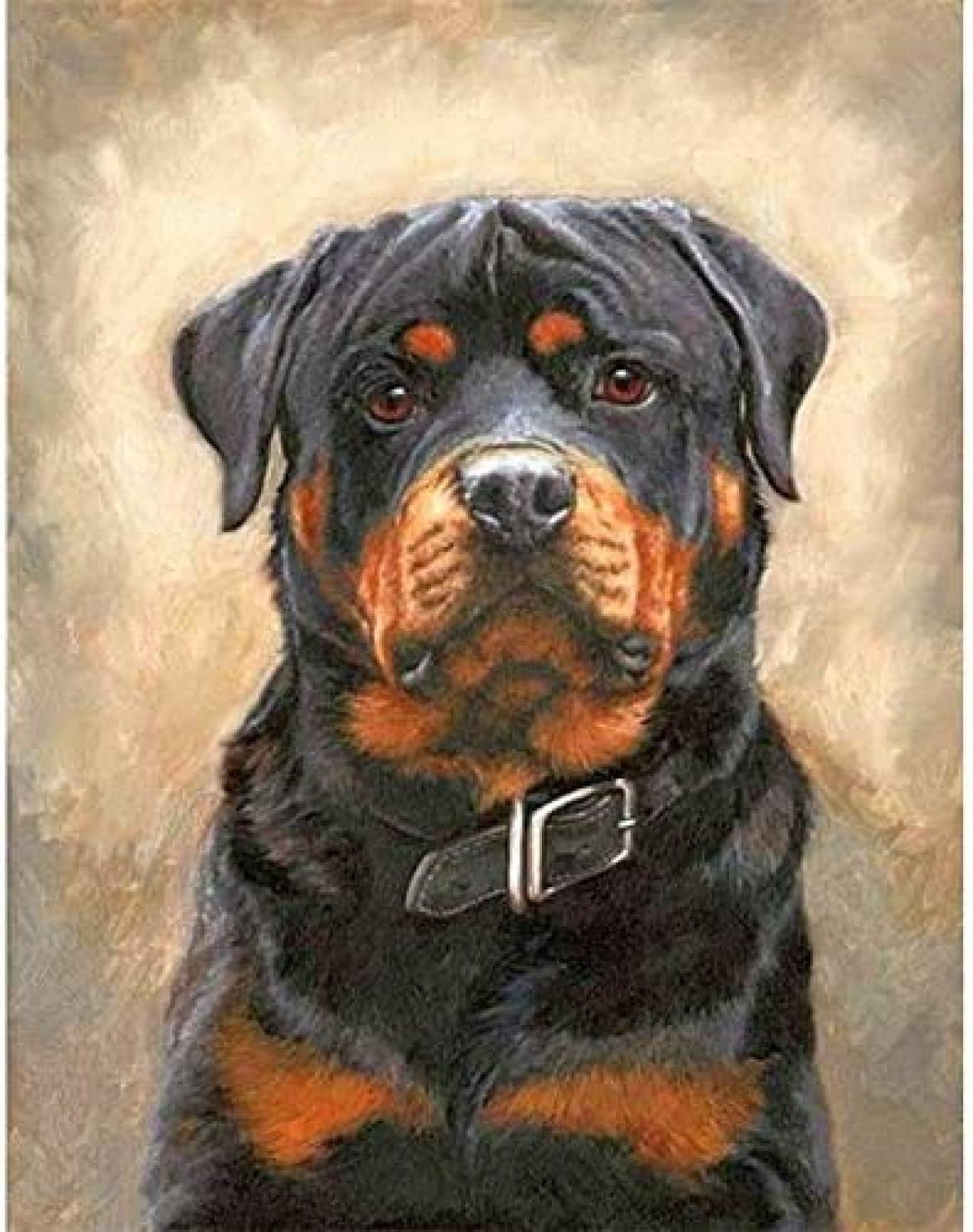 znwrr DIY 5D Diamond Painting Set, Diamond Painting Kits Rottweiler Dog Painting by Numbers Diamond Painting Arts Craft for Home Wall Decor 40x50cm