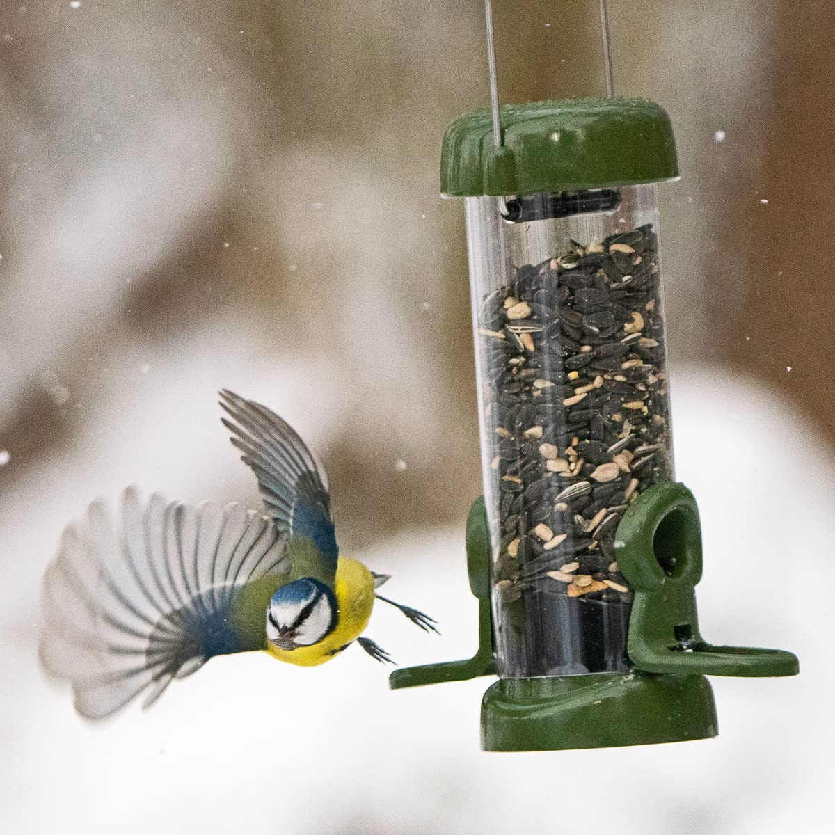 Jacobi Jayne RP3-S1G Ring-Pull Click Small Seed Feeder, green Bird — view 3