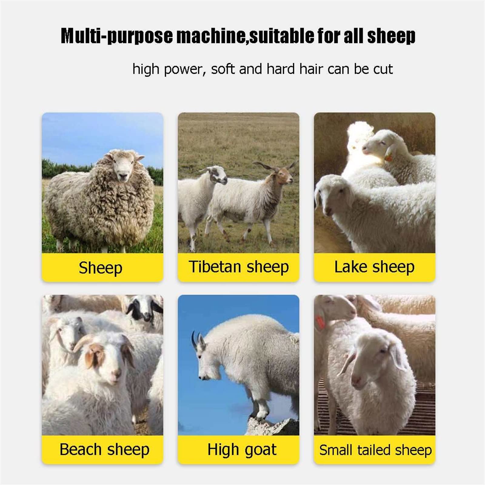 Esquiladoras para ovejas, Tijeras eléctricas de 13 dientes for esquilar ovejas y cabras, cortadora de lana de oveja, cortadora de animales, ajustable, 6 velocidades Para caballos, ovejas, alpacas y ca