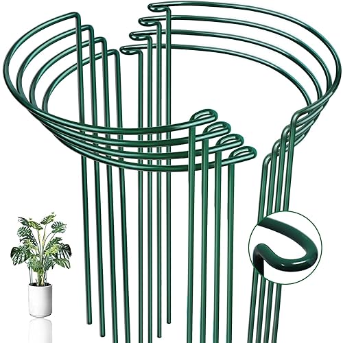 8 Pack Half Round Snake Plant Support Stakes Sets -