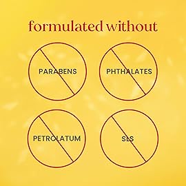 Burts Bees Christmas Gifts, Mask Bundle Stocking Stuffers Gift Set; Moisturizing Lip Mask, Ultra Conditioning Lip Balm, Refreshing Sheet Mask, Calming Sheet Mask; Festive Packaging; 1 Gift Set