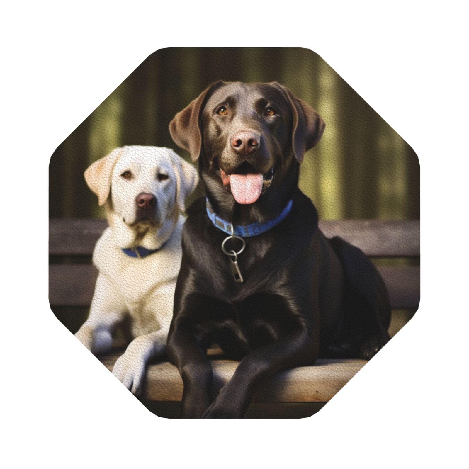 Fodpand Octagon Labrador Drink Coasters Set Of 4, Heat Resistant Leather Coasters Fuuny Bar Beer Beverage Coaster For Drinks, Absorbent Cup Mat For Tabletop Protection, Housewarming Gift
