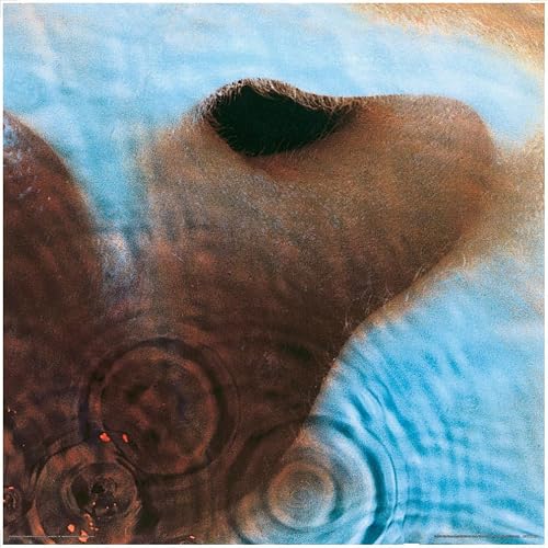 Pyramid International Pink Floyd – Meddle 12 Inch Print Cover – Poster – 31 x 31 cm