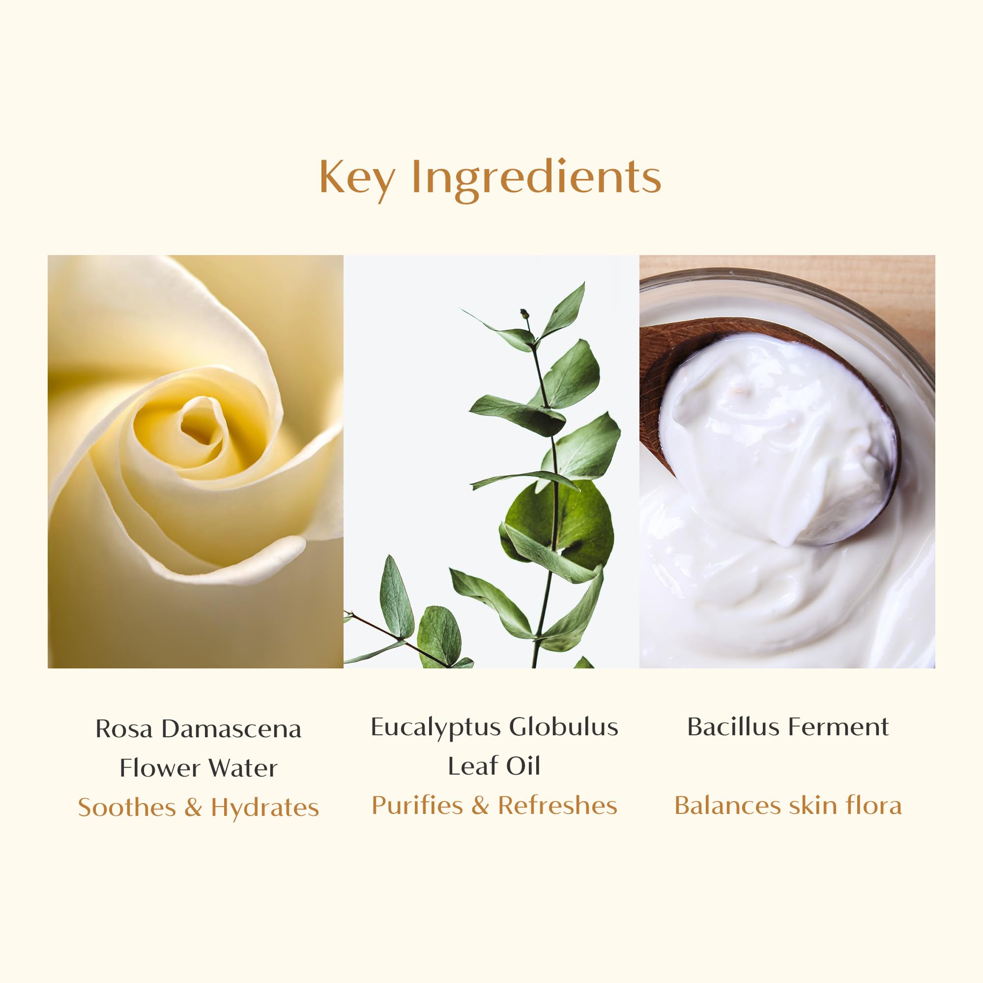 CAELA Feminine Wash, pH Balanced Foaming Cleanser with Triple Lactobacillus Ferment Complex – Gentle Daily Intimate Care for Women, Sea Buckthorn & Damask Rose, Sulfate-Free, 5.07 Fl Oz