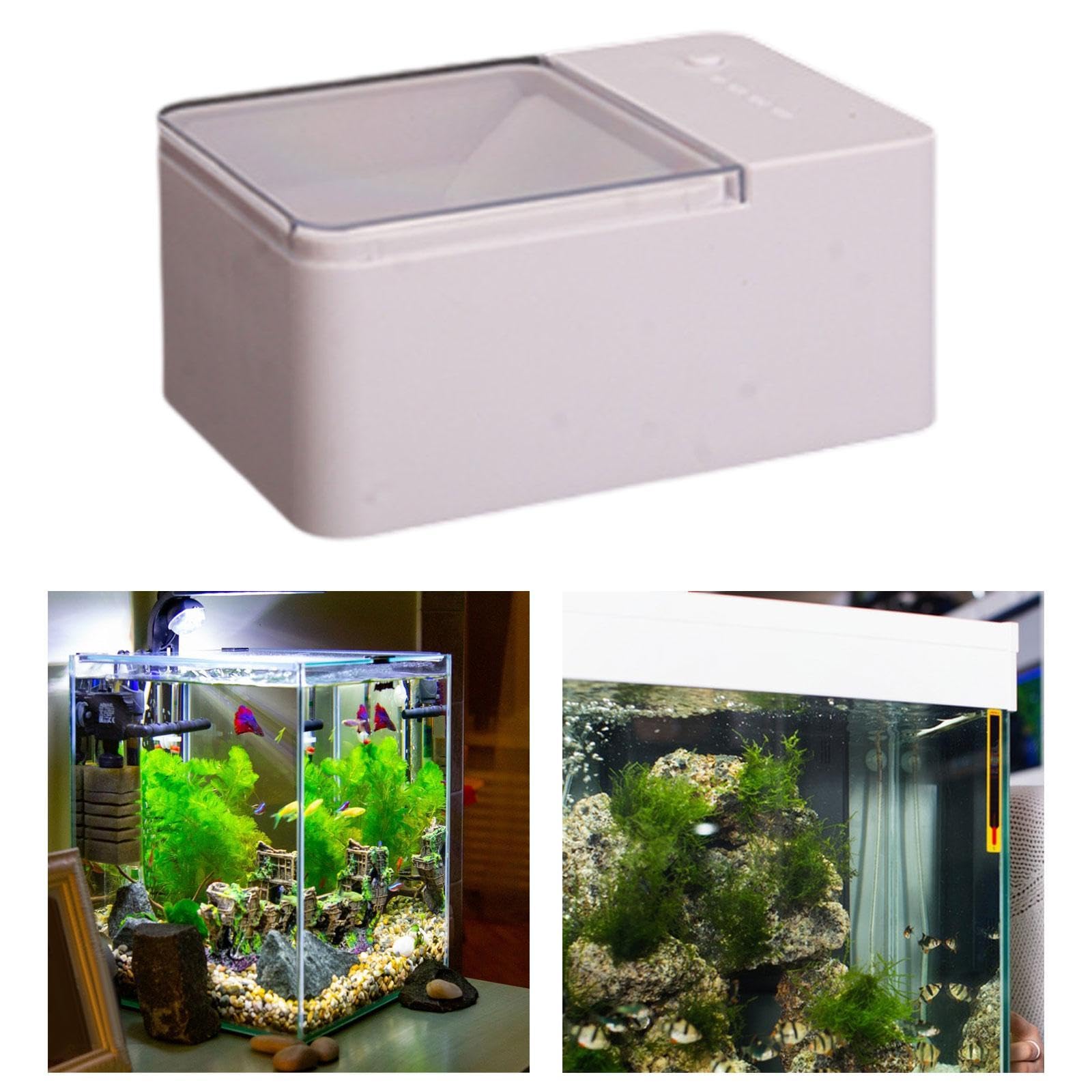 Dispensador Automático de Alimento para Peces para Acuarios, Alimentador Inteligente de Intervalos para Peces, Gran Capacidad, Fácil Instalación, 50 Gramos
