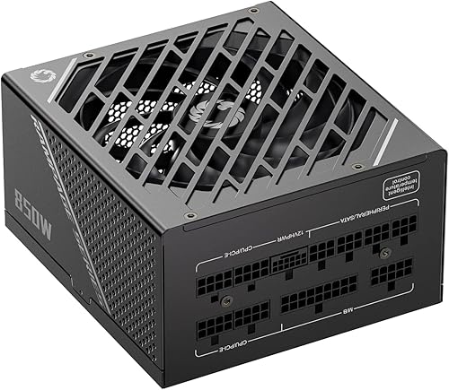 GAMEMAX Rampage Series 850W PCIe 5.0 80 Plus Gold - Fuente de alimentación totalmente modular, ventilador F.D.B de 5.315in, tapas japonesas de