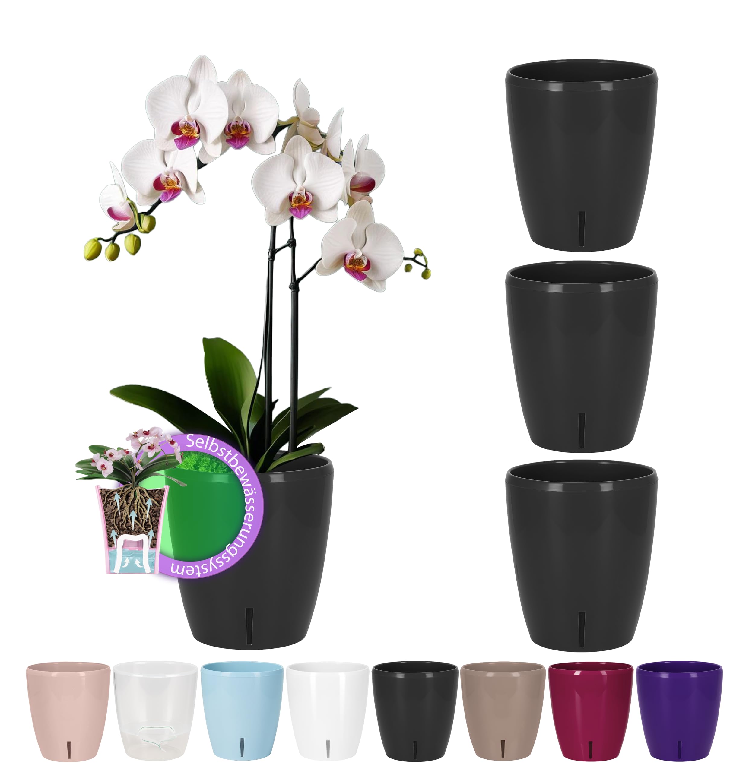 Santino Maceta para Orquídeas Ø 12cm Maceta Autorriego con Sistema de Mecha e Indicador de Nivel de Agua para Interior (Ø 12cm - 1,3L - Transparente) — view 26