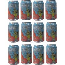 Beavertown Gamma Ray 24 Pack