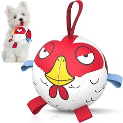QDAN Dog Toy Balls Pet Training Soccer Ball Dog Toy with Straps- Puppy Extra Small Dog Balls Beach