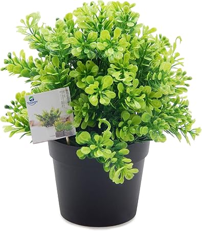 Amazon Tossow 人工観葉植物 フェイクグリーン 観葉植物 フェイク 造花 ミニ インテリア 小さいユーカリ 人工観葉植物 オンライン通販