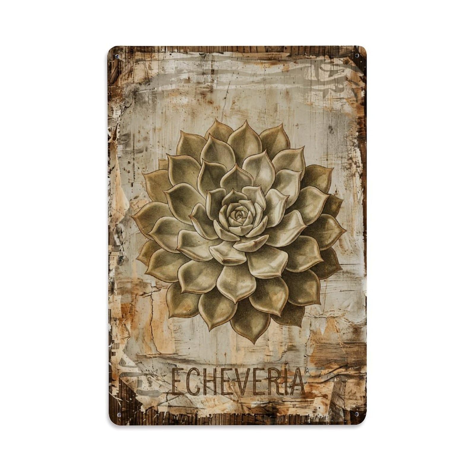 Echeveria Succulent Plant Vintage Metal Tin Sign Plaque Wall Decor for Cafe, Club, Garden Metal Poster 8x12Inch