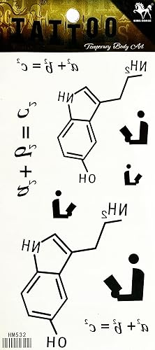 Molécula de química matemática Tatuajes temporales Pintura artística 3D Tatuaje Maquillaje Cuerpo falso para adolescentes, hombres y mujeres,