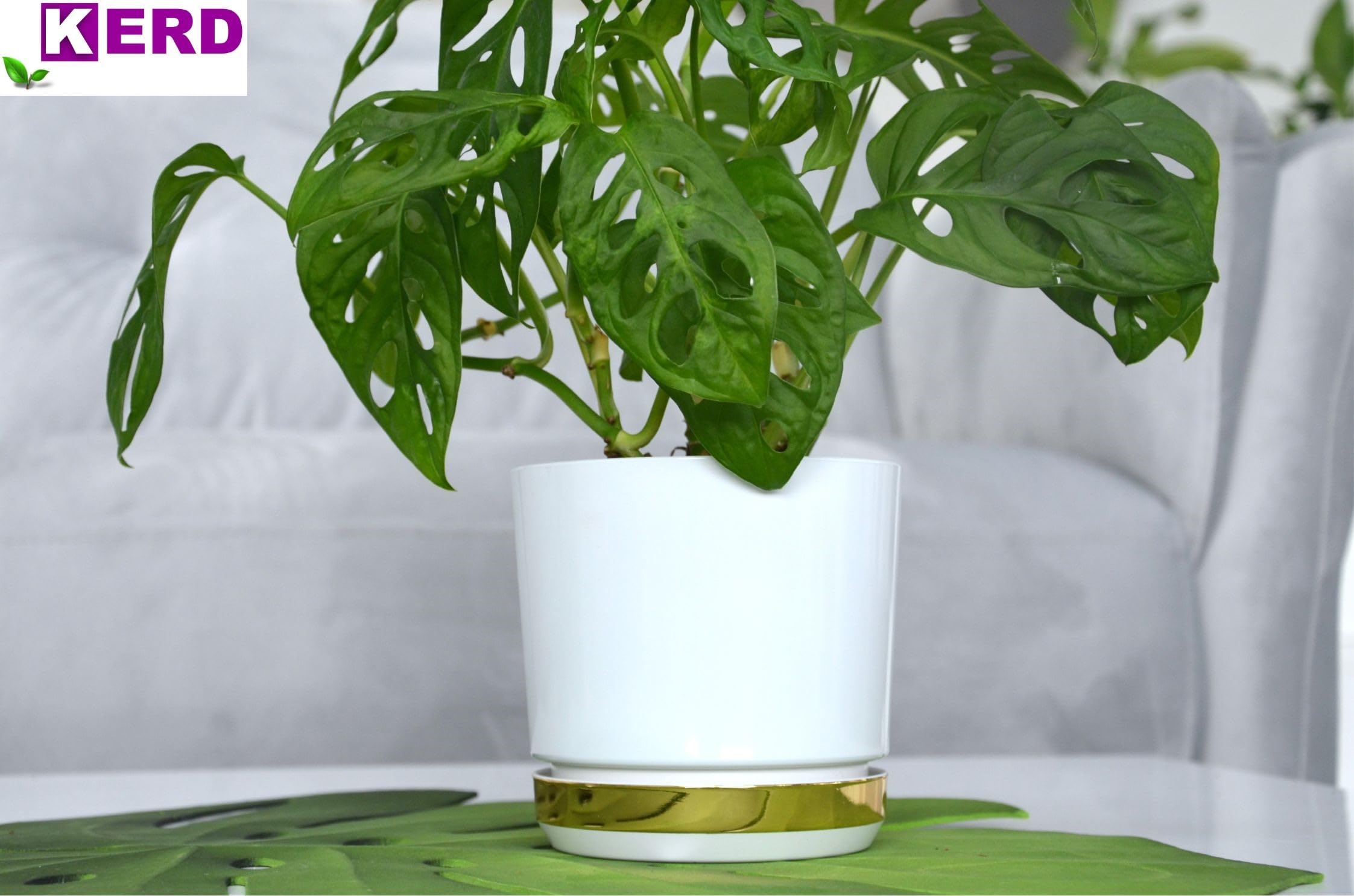 KERD Duo Pot De Fleur Rond 32 cm Blanc & Doré – Plastique Recyclé – Décoré Manuellement – avec Soucoupe – Drainage Intégré – Brillant – Fabriqué en Europe
